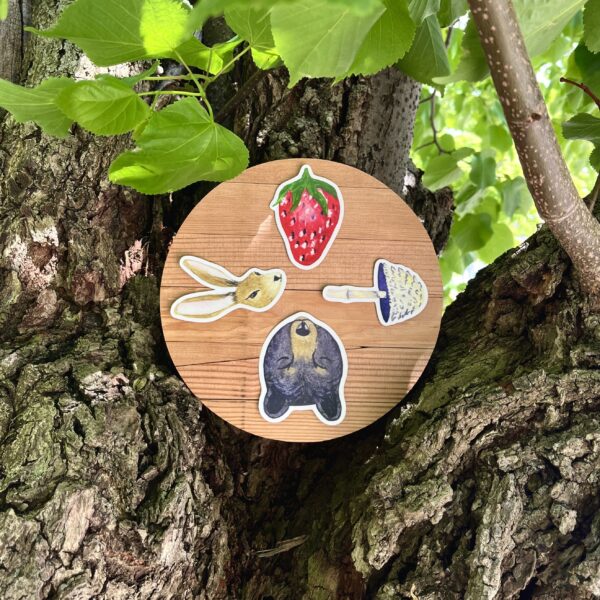 Nikki's 4 "Wheel of the Year" stickers (Strawberry, Mushroom, Bear, and Hare) displayed on a round piece of wood, which is balanced between three tree branches.