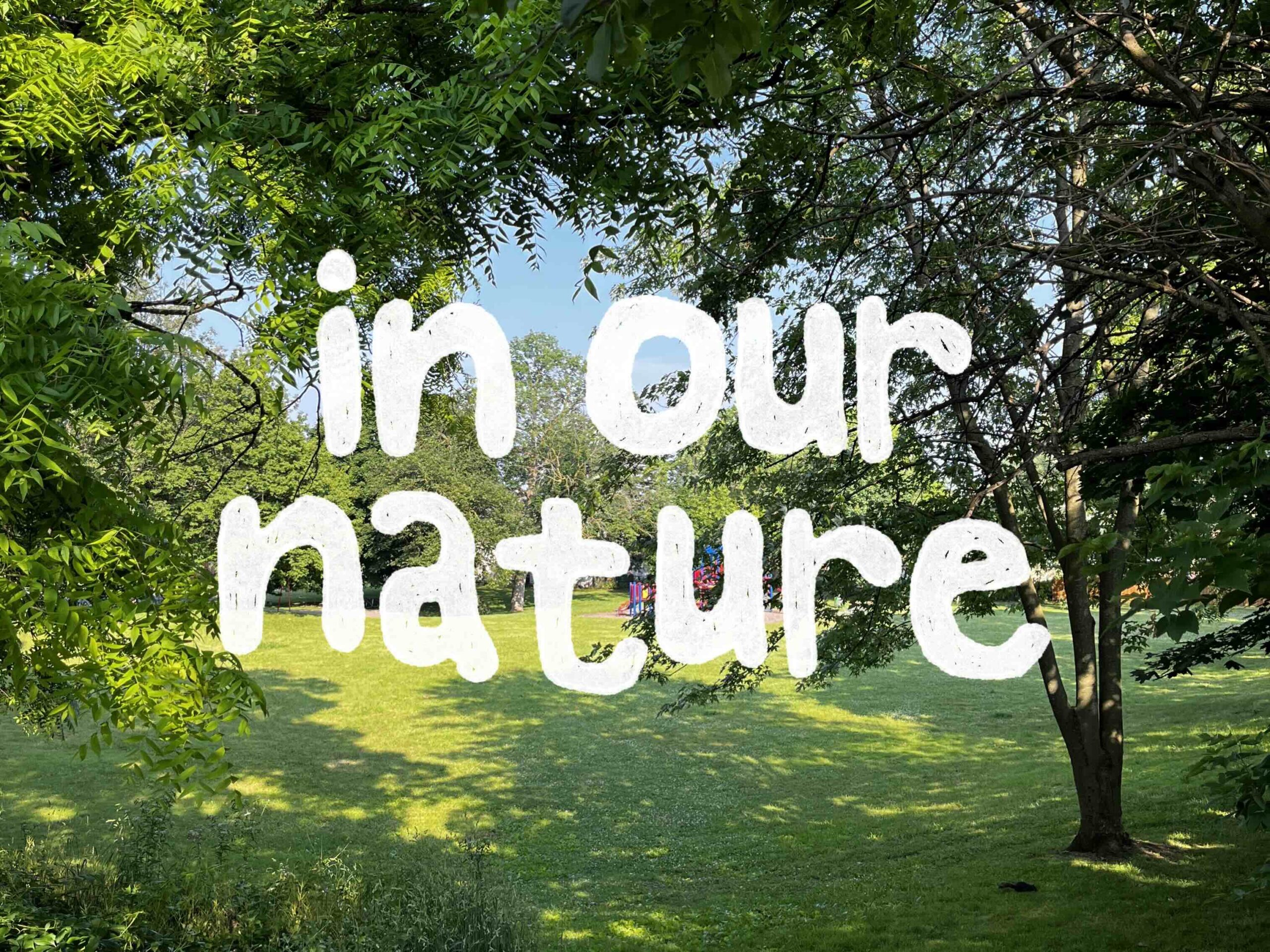 One of four photos taken in the same spot at a park, at different times of the year - this one was taken in the summer. There is a tree on the right side of the photo, and branches form an arch along the top portion of the frame. Beyond the trees there is an open area, covered by grass. There is white bubble letter text that reads “in our nature” in the center.